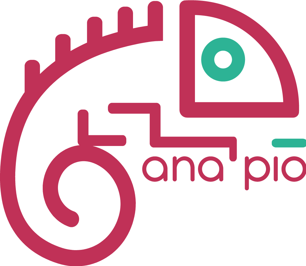 Logo Ana Pio Solutions
